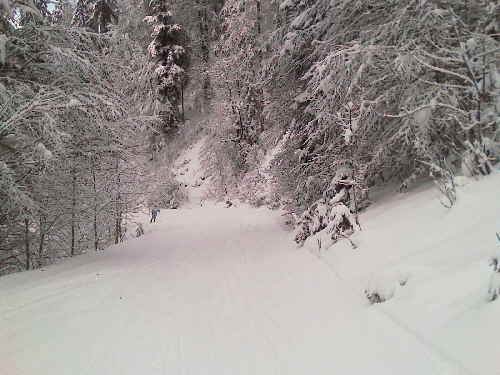 Steinplatte Bilder